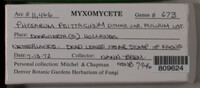 Image Associated With the Occurence
